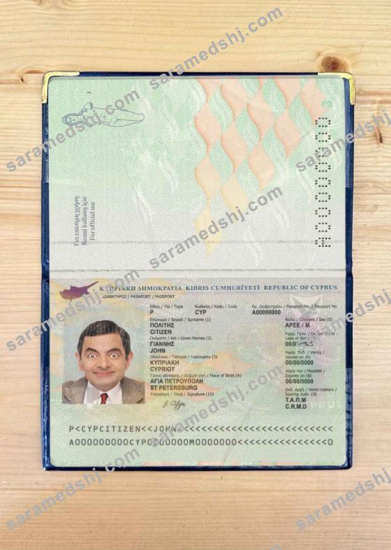 Cyprus passport photo look